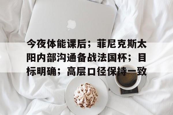 九游体育平台-关于今夜体能课后;菲尼克斯太阳内部沟通备战法国杯;目标明确;高层口径保持一致的信息